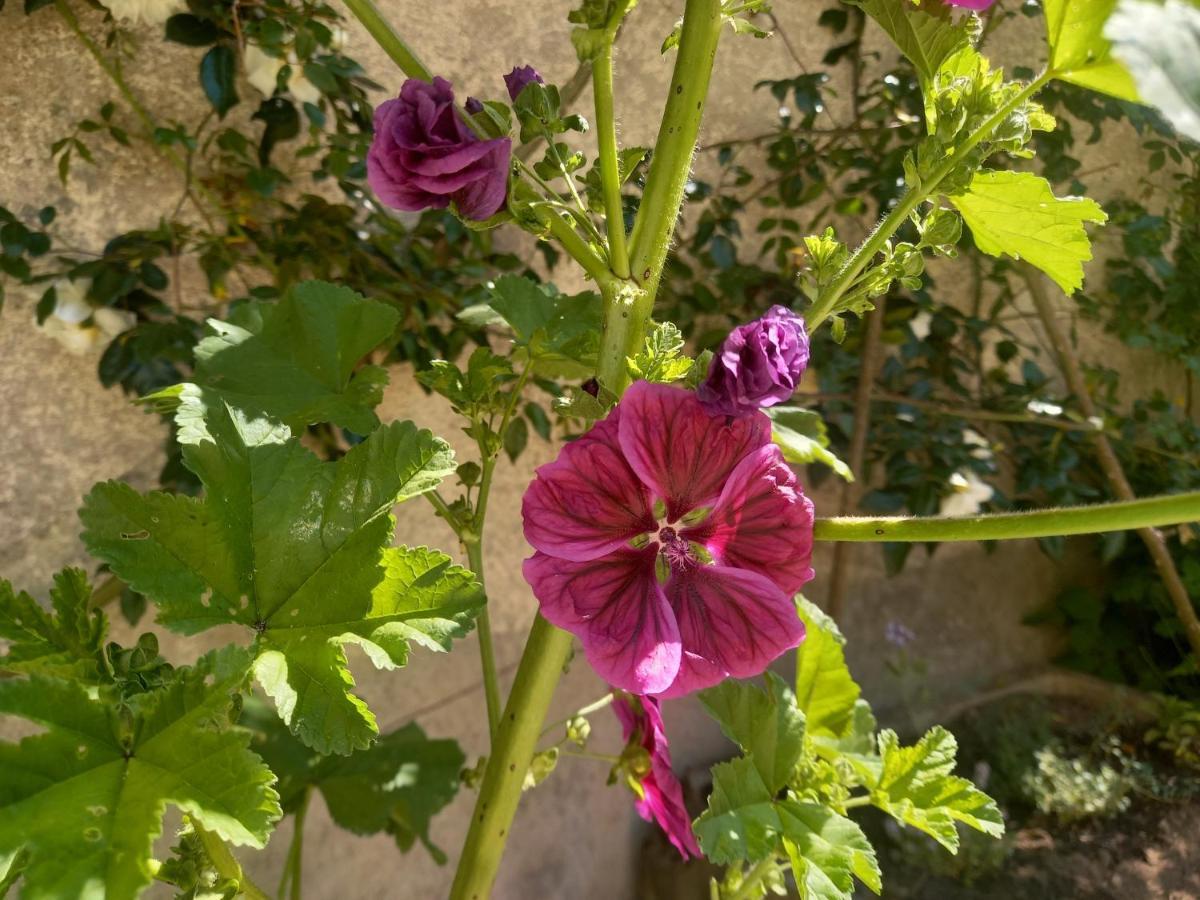 Maison Violette En Berry Aigurande Esterno foto